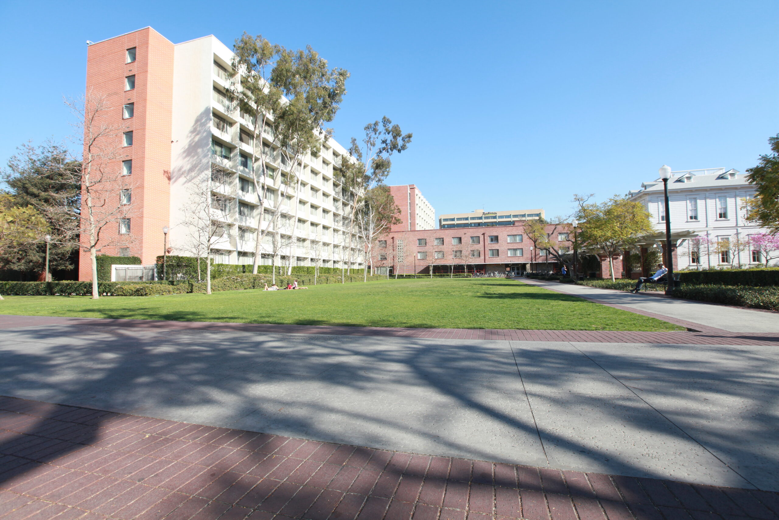 Pardee Lawn