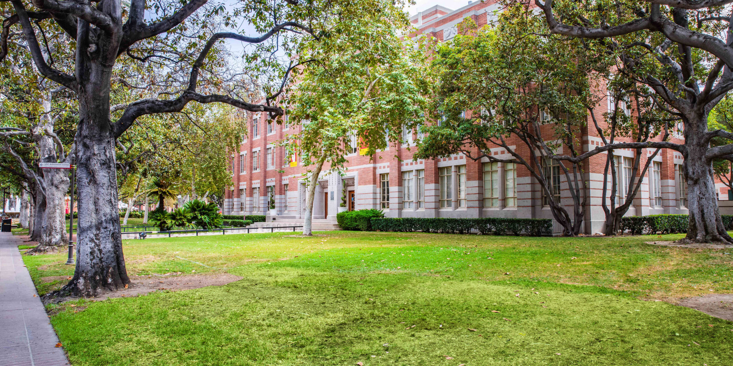 AHF Lawn facing Alan Hancock Foundation building