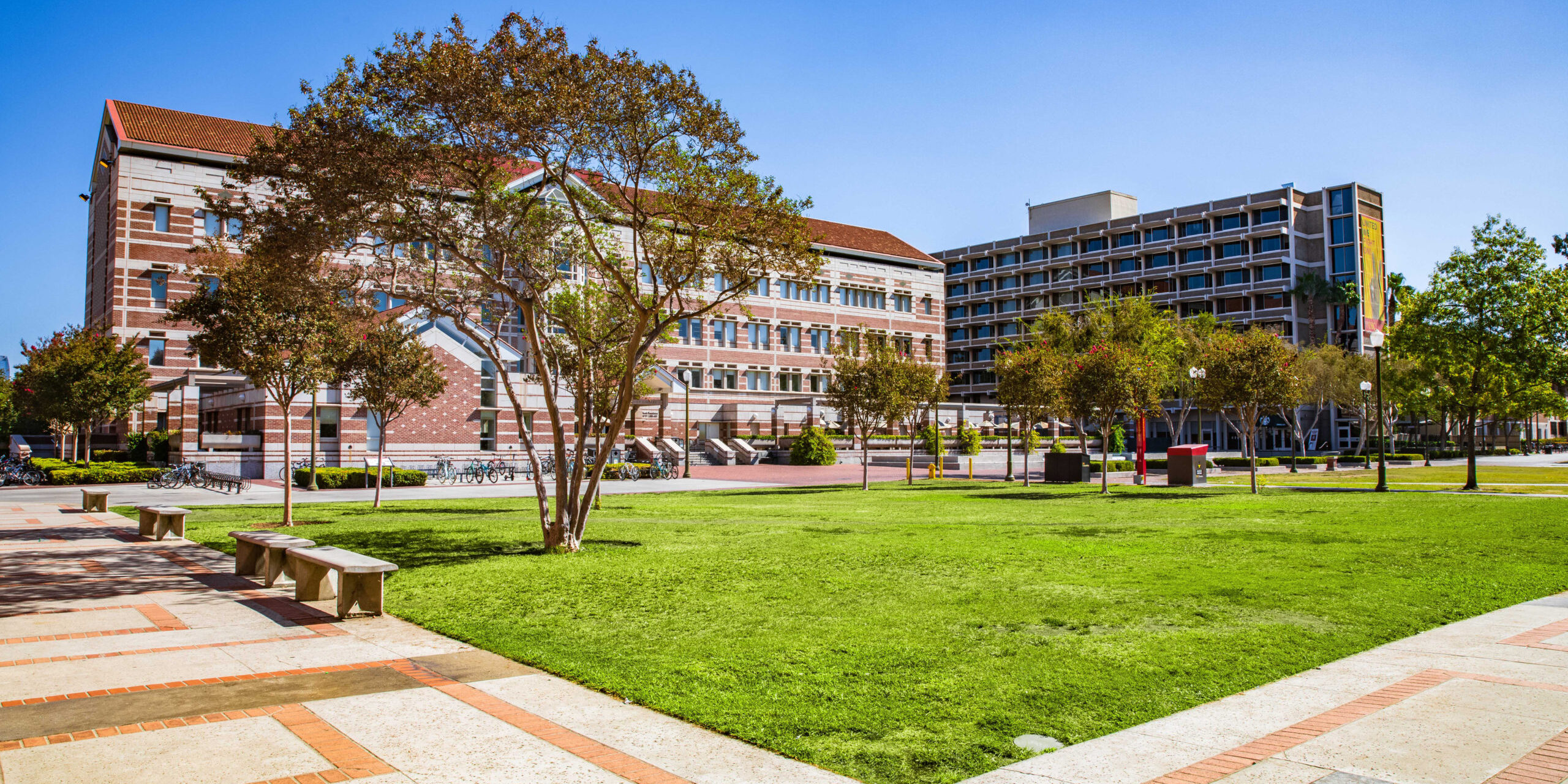 SOS Lawn facing Leavey Library